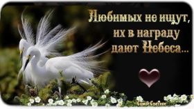 Открытка. Фразочки Прикольные картинки, прикольные надписи, фразочки, фразы, цитаты Прикольные картинки, прикольные надписи, фразочки, фразы, цитаты, высказывания, прикольная открытка, прикольная картинка, анекдот, приколы про женщин, приколы для женщин