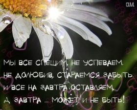 Открытка. Фразочки Прикольные картинки, прикольные надписи, фразочки, фразы, цитаты Прикольные картинки, прикольные надписи, фразочки, фразы, цитаты, высказывания, прикольная открытка, прикольная картинка, анекдот, приколы про женщин, приколы для женщин