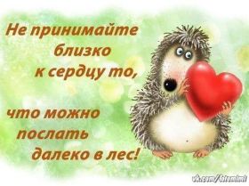 Открытка. Фразочки Прикольные картинки, прикольные надписи, фразочки, фразы, цитаты Прикольные картинки, прикольные надписи, фразочки, фразы, цитаты, высказывания, прикольная открытка, прикольная картинка, анекдот, приколы про женщин, приколы для женщин