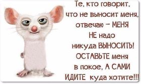 Открытка. Фразочки Прикольные картинки, прикольные надписи, фразочки, фразы, цитаты Прикольные картинки, прикольные надписи, фразочки, фразы, цитаты, высказывания, прикольная открытка, прикольная картинка, анекдот, приколы про женщин, приколы для женщин