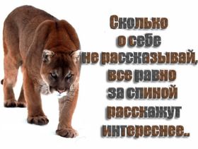 Открытка. Фразочки Прикольные картинки, прикольные надписи, фразочки, фразы, цитаты Прикольные картинки, прикольные надписи, фразочки, фразы, цитаты, высказывания, прикольная открытка, прикольная картинка, анекдот, приколы про женщин, приколы для женщин