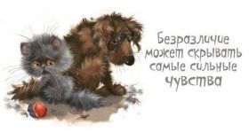 Открытка. Фразочки Прикольные картинки, прикольные надписи, фразочки, фразы, цитаты Прикольные картинки, прикольные надписи, фразочки, фразы, цитаты, высказывания, прикольная открытка, прикольная картинка, анекдот, приколы про женщин, приколы для женщин