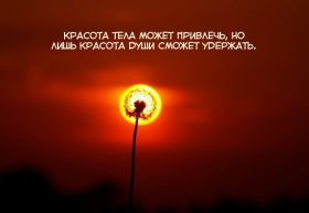 Открытка. Фразочки Прикольные картинки, прикольные надписи, фразочки, фразы, цитаты Прикольные картинки, прикольные надписи, фразочки, фразы, цитаты, высказывания, прикольная открытка, прикольная картинка, анекдот, приколы про женщин, приколы для женщин