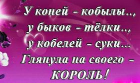Открытка. Фразочки Прикольные картинки, прикольные надписи, фразочки, фразы, цитаты Прикольные картинки, прикольные надписи, фразочки, фразы, цитаты, высказывания, прикольная открытка, прикольная картинка, анекдот, приколы про женщин, приколы для женщин