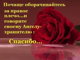 Открытка. Фразочки Прикольные картинки, прикольные надписи, фразочки, фразы, цитаты Прикольные картинки, прикольные надписи, фразочки, фразы, цитаты, высказывания, прикольная открытка, прикольная картинка, анекдот, приколы про женщин, приколы для женщин