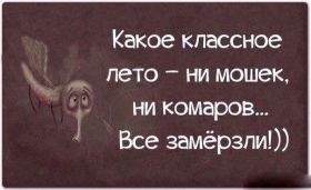 Открытка. Фразочки Прикольные картинки, прикольные надписи, фразочки, фразы, цитаты Прикольные картинки, прикольные надписи, фразочки, фразы, цитаты, высказывания, прикольная открытка, прикольная картинка, анекдот, приколы про женщин, приколы для женщин