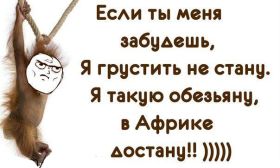 Открытка. Фразочки Прикольные картинки, прикольные надписи, фразочки, фразы, цитаты Прикольные картинки, прикольные надписи, фразочки, фразы, цитаты, высказывания, прикольная открытка, прикольная картинка, анекдот, приколы про женщин, приколы для женщин