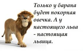 Открытка. Фразочки Прикольные картинки, прикольные надписи, фразочки, фразы, цитаты Прикольные картинки, прикольные надписи, фразочки, фразы, цитаты, высказывания, прикольная открытка, прикольная картинка, анекдот, приколы про женщин, приколы для женщин