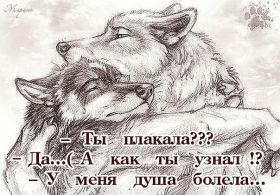 Открытка. Фразочки Прикольные картинки, прикольные надписи, фразочки, фразы, цитаты Прикольные картинки, прикольные надписи, фразочки, фразы, цитаты, высказывания, прикольная открытка, прикольная картинка, анекдот, приколы про женщин, приколы для женщин