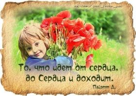 Открытка. Фразочки Прикольные картинки, прикольные надписи, фразочки, фразы, цитаты Прикольные картинки, прикольные надписи, фразочки, фразы, цитаты, высказывания, прикольная открытка, прикольная картинка, анекдот, приколы про женщин, приколы для женщин