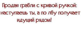 Открытка. Фразочки Прикольные картинки, прикольные надписи, фразочки, фразы, цитаты Прикольные картинки, прикольные надписи, фразочки, фразы, цитаты, высказывания, прикольная открытка, прикольная картинка, анекдот, приколы про женщин, приколы для женщин