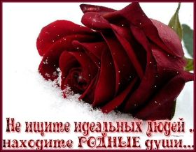 Открытка. Фразочки Прикольные картинки, прикольные надписи, фразочки, фразы, цитаты Прикольные картинки, прикольные надписи, фразочки, фразы, цитаты, высказывания, прикольная открытка, прикольная картинка, анекдот, приколы про женщин, приколы для женщин