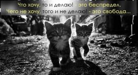 Открытка. Фразочки Прикольные картинки, прикольные надписи, фразочки, фразы, цитаты Прикольные картинки, прикольные надписи, фразочки, фразы, цитаты, высказывания, прикольная открытка, прикольная картинка, анекдот, приколы про женщин, приколы для женщин