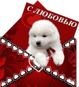 Открытка. Открытки о любви Открытка о любви, картинка о любви, картинка любовь, картинка Love Открытка о любви, картинка о любви, картинка любовь, картинка Love, надпись любовь, надпись Love, пожелание любви, картинка с пожеланиями любви, открытка любовь, картинка с любовью, открытка с любовью