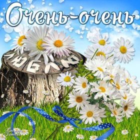 Открытка. Признания в любви Открытка я люблю тебя, картинка я люблю тебя, люблю тебя, я тебя обожаю Открытка я люблю тебя, картинка я люблю тебя, люблю тебя, я тебя обожаю, признание в любви, надпись я люблю тебя, я тебя люблю, картинка с признание в любви, признание в любви, надпись люблю, ты моя любовь