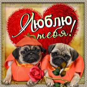 Открытка. Признания в любви Открытка я люблю тебя, картинка я люблю тебя, люблю тебя, я тебя обожаю Открытка я люблю тебя, картинка я люблю тебя, люблю тебя, я тебя обожаю, признание в любви, надпись я люблю тебя, я тебя люблю, картинка с признание в любви, признание в любви, надпись люблю, ты моя любовь