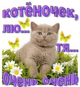 Открытка. Признания в любви Открытка я люблю тебя, картинка я люблю тебя, люблю тебя, я тебя обожаю Открытка я люблю тебя, картинка я люблю тебя, люблю тебя, я тебя обожаю, признание в любви, надпись я люблю тебя, я тебя люблю, картинка с признание в любви, признание в любви, надпись люблю, ты моя любовь