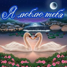 Открытка. Признания в любви Открытка я люблю тебя, картинка я люблю тебя, люблю тебя, я тебя обожаю Открытка я люблю тебя, картинка я люблю тебя, люблю тебя, я тебя обожаю, признание в любви, надпись я люблю тебя, я тебя люблю, картинка с признание в любви, признание в любви, надпись люблю, ты моя любовь