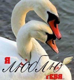 Открытка. Признания в любви Открытка я люблю тебя, картинка я люблю тебя, люблю тебя, я тебя обожаю Открытка я люблю тебя, картинка я люблю тебя, люблю тебя, я тебя обожаю, признание в любви, надпись я люблю тебя, я тебя люблю, картинка с признание в любви, признание в любви, надпись люблю, ты моя любовь