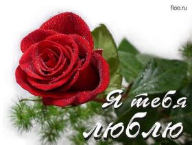 Открытка. Признания в любви Открытка я люблю тебя, картинка я люблю тебя, люблю тебя, я тебя обожаю Открытка я люблю тебя, картинка я люблю тебя, люблю тебя, я тебя обожаю, признание в любви, надпись я люблю тебя, я тебя люблю, картинка с признание в любви, признание в любви, надпись люблю, ты моя любовь