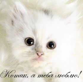 Открытка. Признания в любви Открытка я люблю тебя, картинка я люблю тебя, люблю тебя, я тебя обожаю Открытка я люблю тебя, картинка я люблю тебя, люблю тебя, я тебя обожаю, признание в любви, надпись я люблю тебя, я тебя люблю, картинка с признание в любви, признание в любви, надпись люблю, ты моя любовь