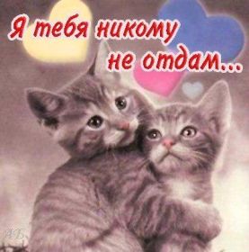 Открытка. Признания в любви Открытка я люблю тебя, картинка я люблю тебя, люблю тебя, я тебя обожаю Открытка я люблю тебя, картинка я люблю тебя, люблю тебя, я тебя обожаю, признание в любви, надпись я люблю тебя, я тебя люблю, картинка с признание в любви, признание в любви, надпись люблю, ты моя любовь