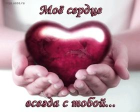 Открытка. Признания в любви Открытка я люблю тебя, картинка я люблю тебя, люблю тебя, я тебя обожаю Открытка я люблю тебя, картинка я люблю тебя, люблю тебя, я тебя обожаю, признание в любви, надпись я люблю тебя, я тебя люблю, картинка с признание в любви, признание в любви, надпись люблю, ты моя любовь