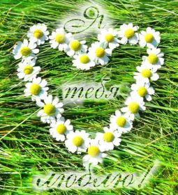 Открытка. Картинки Сердечки Картинка сердце, картинка сердечко, сердечко, мое сердце для тебя Картинка сердце, картинка сердечко, сердечко, мое сердце для тебя, открытка сердечко, открытка сердце, дарю тебе сердечко, только ты в моем сердце, два сердца, мое сердце с тобой