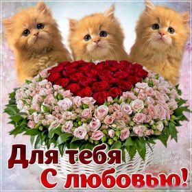 Открытка. Открытки для любимых Открытка для любимого, открытка для любимой, тебе с любовью, картинки для любимых Открытка для любимого, открытка для любимой, тебе с любовью, картинки для любимых, картинка для любимого, картинка для любимой, с любовью для тебя, картинка про любовь, картинка о любви, картинка для тебя, открытка для тебя