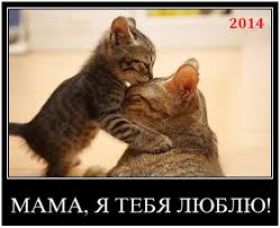 Открытка. Мама я тебя люблю Открытка для мамы, картинка для мамы, картинка про маму Открытка для мамы, открытка про маму, открытка маме, картинка для мамы, картинка про маму, картинка любимой мамочке, картинка мама я люблю тебя, картинка мама