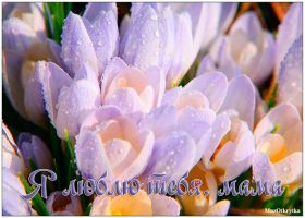 Открытка. Мама я тебя люблю Открытка для мамы, картинка для мамы, картинка про маму Открытка для мамы, открытка про маму, открытка маме, картинка для мамы, картинка про маму, картинка любимой мамочке, картинка мама я люблю тебя, картинка мама