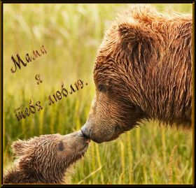 Открытка. Мама я тебя люблю Открытка для мамы, картинка для мамы, картинка про маму Открытка для мамы, открытка про маму, открытка маме, картинка для мамы, картинка про маму, картинка любимой мамочке, картинка мама я люблю тебя, картинка мама