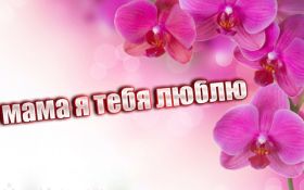 Открытка. Мама я тебя люблю Открытка для мамы, картинка для мамы, картинка про маму Открытка для мамы, открытка про маму, открытка маме, картинка для мамы, картинка про маму, картинка любимой мамочке, картинка мама я люблю тебя, картинка мама