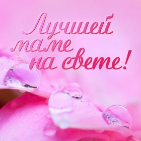 Открытка. Мама я тебя люблю Открытка для мамы, картинка для мамы, картинка про маму Открытка для мамы, открытка про маму, открытка маме, картинка для мамы, картинка про маму, картинка любимой мамочке, картинка мама я люблю тебя, картинка мама