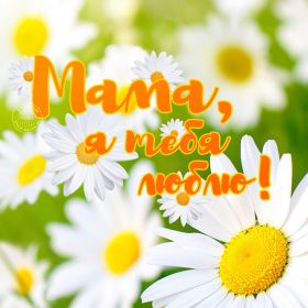 Открытка. Мама я тебя люблю Открытка для мамы, картинка для мамы, картинка про маму Открытка для мамы, открытка про маму, открытка маме, картинка для мамы, картинка про маму, картинка любимой мамочке, картинка мама я люблю тебя, картинка мама