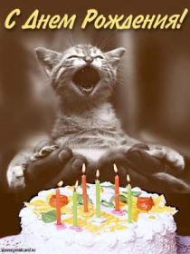 Открытка. Открытки на день рождения для всех Открытка день рождения, поздравление с днем рождения, картинка на день рождения Открытка день рождения, поздравление с днем рождения, картинка на день рождения, стихи на день рождения, поздравляю с днем рождения, поздравить с днём рождения, день рождения
