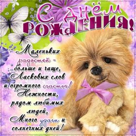 Открытка. Открытки на день рождения для всех Открытка день рождения, поздравление с днем рождения, картинка на день рождения Открытка день рождения, поздравление с днем рождения, картинка на день рождения, стихи на день рождения, поздравляю с днем рождения, поздравить с днём рождения, день рождения