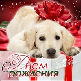 Открытка. Открытки на день рождения для всех Открытка день рождения, поздравление с днем рождения, картинка на день рождения Открытка день рождения, поздравление с днем рождения, картинка на день рождения, стихи на день рождения, поздравляю с днем рождения, поздравить с днём рождения, день рождения