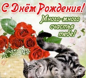 Открытка. Открытки на день рождения для всех Открытка день рождения, поздравление с днем рождения, картинка на день рождения Открытка день рождения, поздравление с днем рождения, картинка на день рождения, стихи на день рождения, поздравляю с днем рождения, поздравить с днём рождения, день рождения