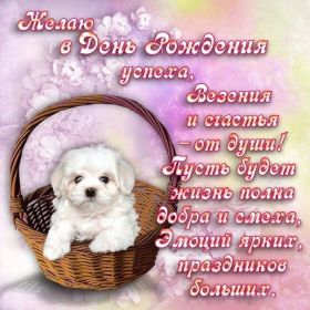 Открытка. Открытки на день рождения для всех Открытка день рождения, поздравление с днем рождения, картинка на день рождения Открытка день рождения, поздравление с днем рождения, картинка на день рождения, стихи на день рождения, поздравляю с днем рождения, поздравить с днём рождения, день рождения