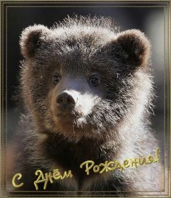 Открытка. Открытки на день рождения для всех Открытка с днём рождения, картинка с днем рождения, поздравление с днем рождения Открытка с днём рождения, картинка с днем рождения, поздравление с днем рождения, картинка на день рождения, день рождения, поздравить с днем рождения, поздравление в стихах на день рождения