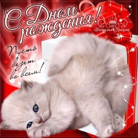 Открытка. Открытки на день рождения для всех Открытка с днём рождения, картинка с днем рождения, поздравление с днем рождения Открытка с днём рождения, картинка с днем рождения, поздравление с днем рождения, картинка на день рождения, день рождения, поздравить с днем рождения, поздравление в стихах на день рождения