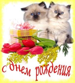 Открытка. Открытки на день рождения для всех Открытка с днём рождения, картинка с днем рождения, поздравление с днем рождения Открытка с днём рождения, картинка с днем рождения, поздравление с днем рождения, картинка на день рождения, день рождения, поздравить с днем рождения, поздравление в стихах на день рождения