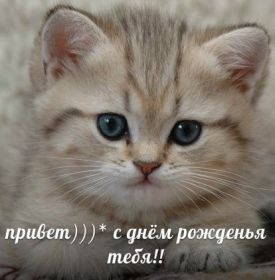 Открытка. Открытки на день рождения для всех Открытка с днём рождения, картинка с днем рождения, поздравление с днем рождения Открытка с днём рождения, картинка с днем рождения, поздравление с днем рождения, картинка на день рождения, день рождения, поздравить с днем рождения, поздравление в стихах на день рождения