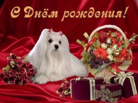 Открытка. Открытки на день рождения для всех Открытка с днём рождения, картинка с днем рождения, поздравление с днем рождения Открытка с днём рождения, картинка с днем рождения, поздравление с днем рождения, картинка на день рождения, день рождения, поздравить с днем рождения, поздравление в стихах на день рождения