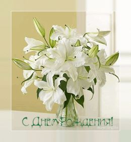 Открытка! Анимация на день рождения, гифка с днем рождения, картинка на день рождения в формате gif