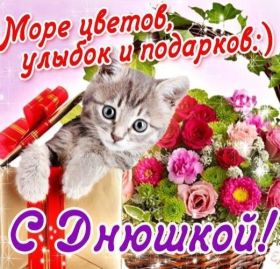 Открытка! Открытка с днюхой, картинка с днюхой, открытка на днюху, картинка на днюху, днюшка, днюха