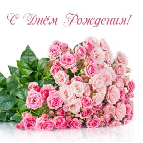 Открытка. Открытки на день рождения с цветами Открытка цветы на день рождения, картинка цветы на день рождения Открытка цветы на день рождения, картинка цветы на день рождения, поздравить с днем рождения цветы, картинка на день рождения с цветами, стихи и цветы на день рождения