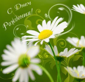 Открытка. Открытки на день рождения с цветами Открытка цветы на день рождения, картинка цветы на день рождения Открытка цветы на день рождения, картинка цветы на день рождения, поздравить с днем рождения цветы, картинка на день рождения с цветами, стихи и цветы на день рождения