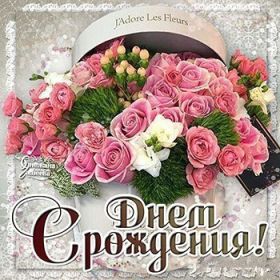 Открытка. Открытки на день рождения с цветами Открытка цветы на день рождения, картинка цветы на день рождения Открытка цветы на день рождения, картинка цветы на день рождения, поздравить с днем рождения цветы, картинка на день рождения с цветами, стихи и цветы на день рождения